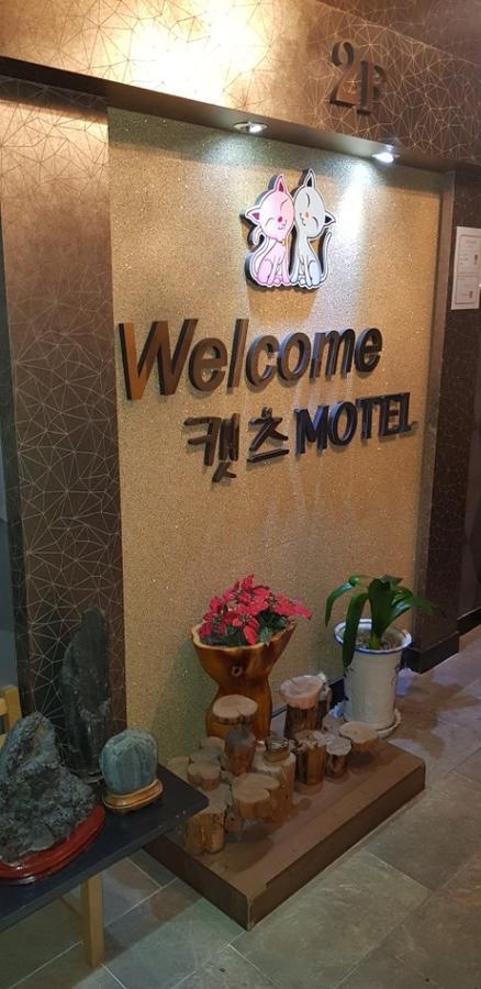 Cats Motel Kangnung Exteriér fotografie